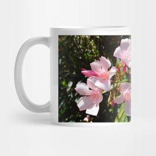 Pretty in Pink Mug